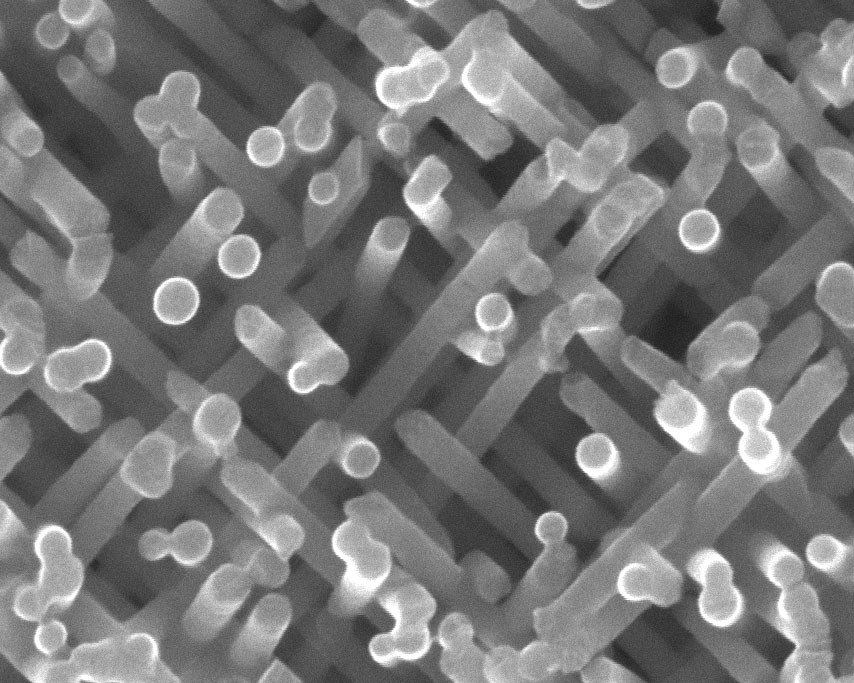 3D nanowires synthesised into track-etched membrane filters